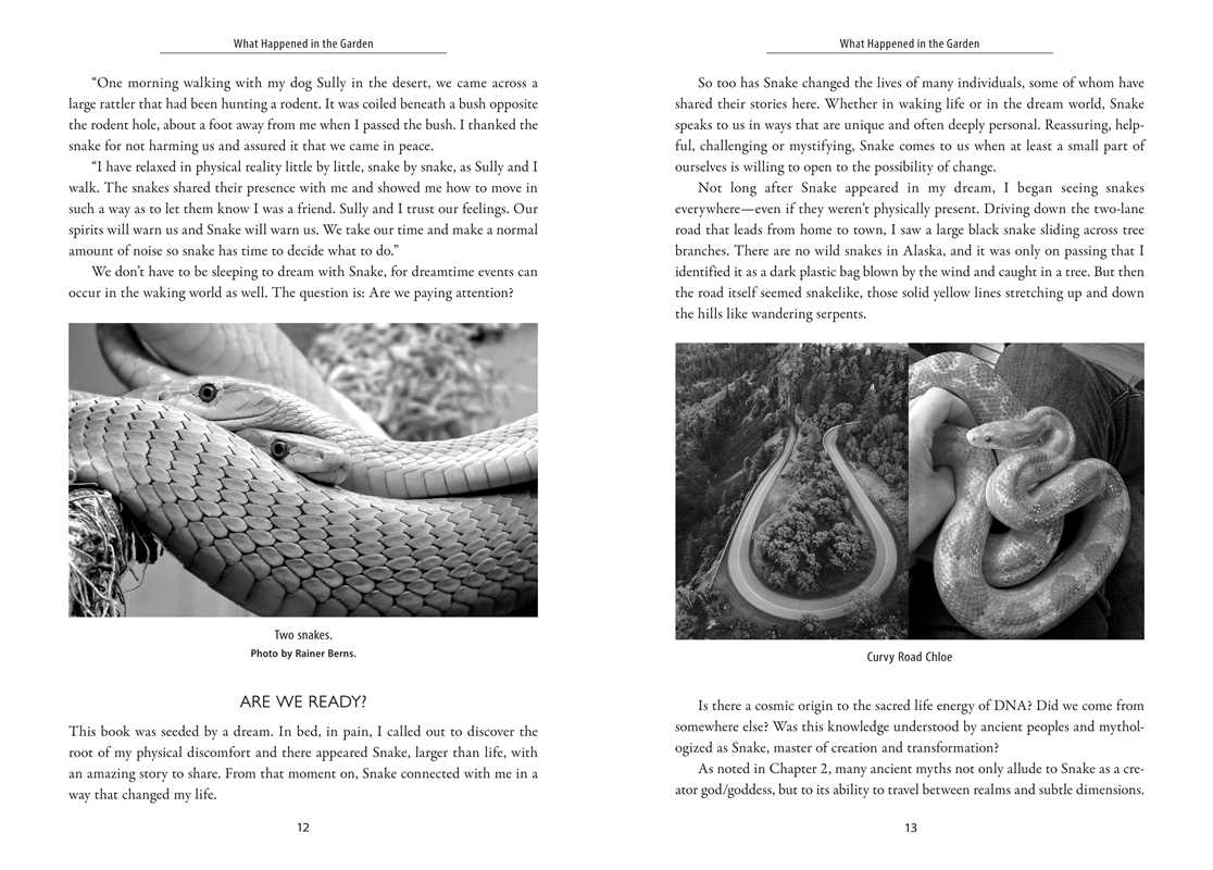 Awakening the Ancient Power of Snake by Dawn Baumann Brunke