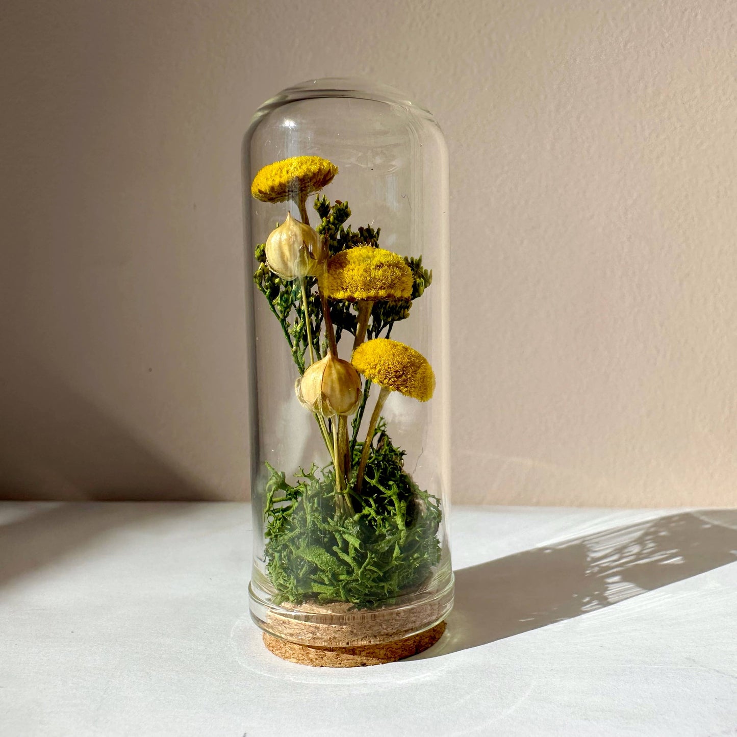 Yellow Mushroom Fields Mini Glass Terrarium w. Dried Florals: 2.75"
