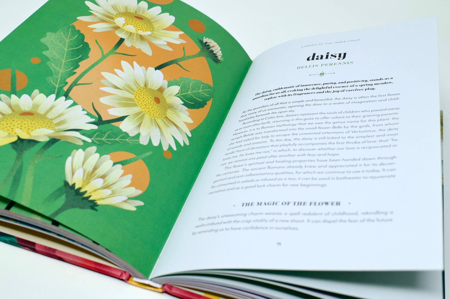 Flower Magic: The Secret Language of Flowers (Hardcover)