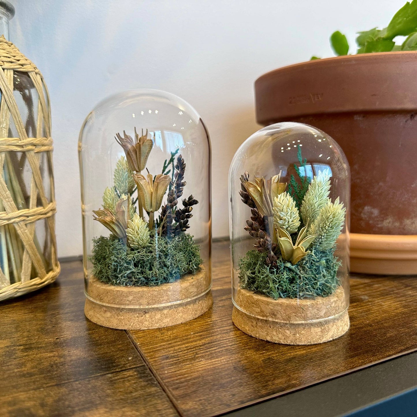 Large Botanical Glass Terrarium Jar w. Green Dried Florals: Short