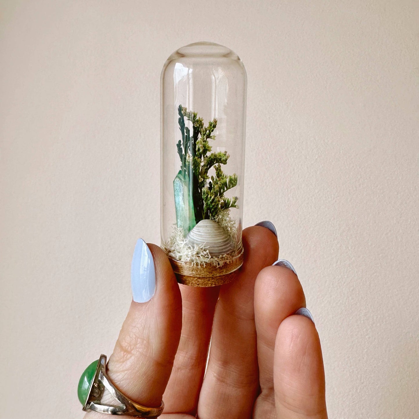 Ocean Flora Mini Terrarium Crystal Beach Desk Decor : 2.75"